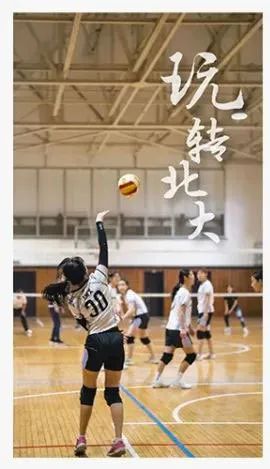 审美与表现评价_审美评价内容_审美评价表现包括
