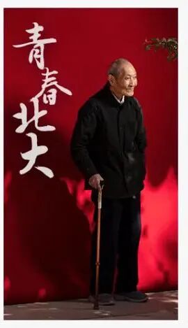 审美评价内容_审美与表现评价_审美评价表现包括