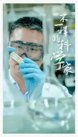 审美与表现评价_审美评价表现包括_审美评价内容