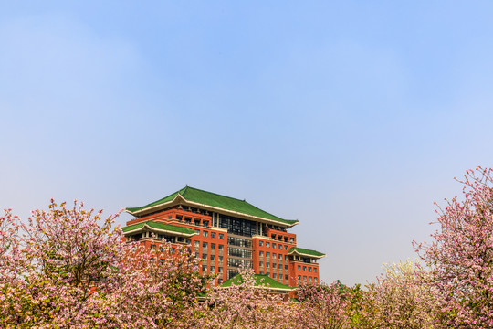 华南农业大学 物理类招生 分数位次_华南农业大学邮编_华南农业大学 历史类招生 分数位次