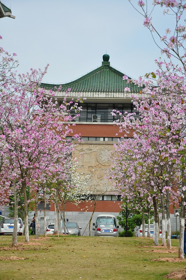 华南农业大学 物理类招生 分数位次_华南农业大学 历史类招生 分数位次_华南农业大学邮编