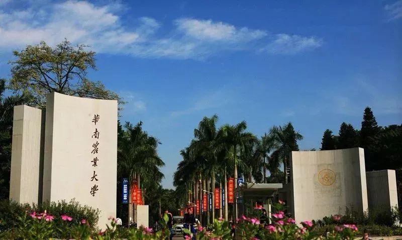 华南农业大学 物理类招生 分数位次_华南农业大学 历史类招生 分数位次_华南农业大学邮编
