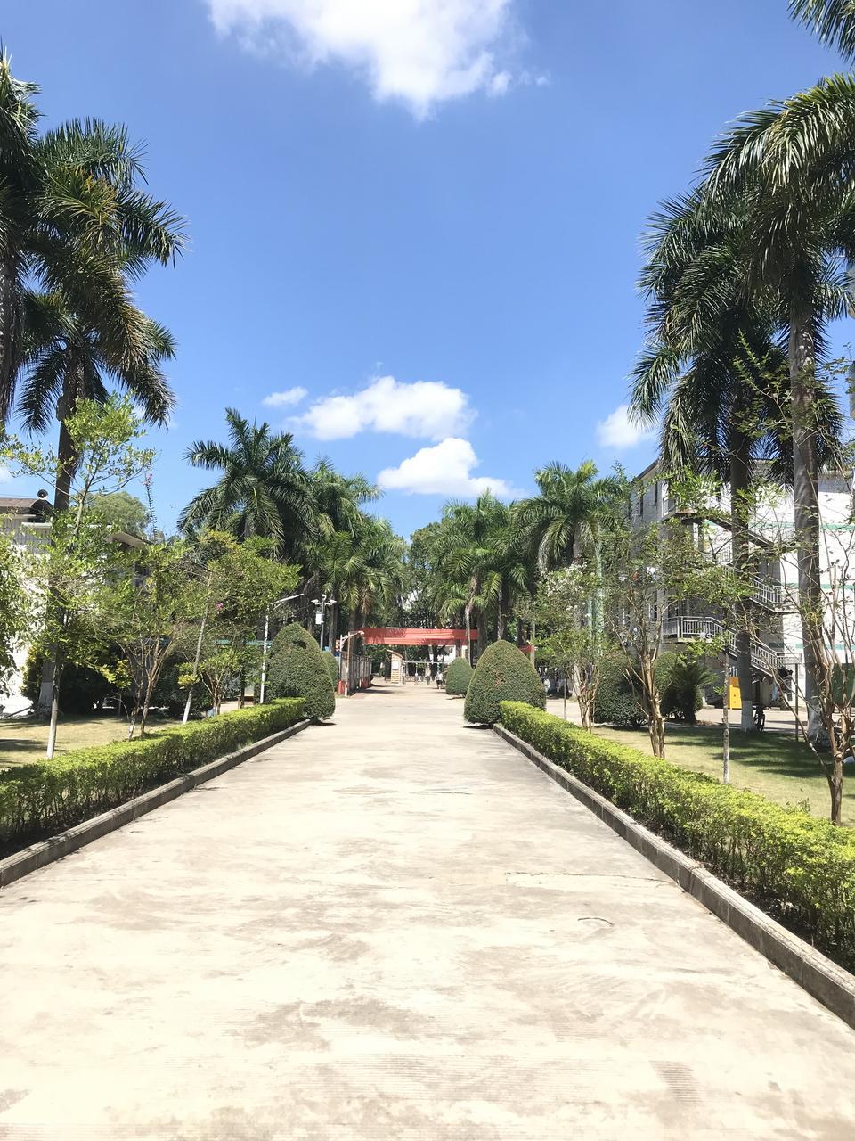 黎明职业大学录取分数线_2026年江汉大学专科录取分数线（2026各省份录取分数线及位次排名）_黎明职业大学介绍与报考指南