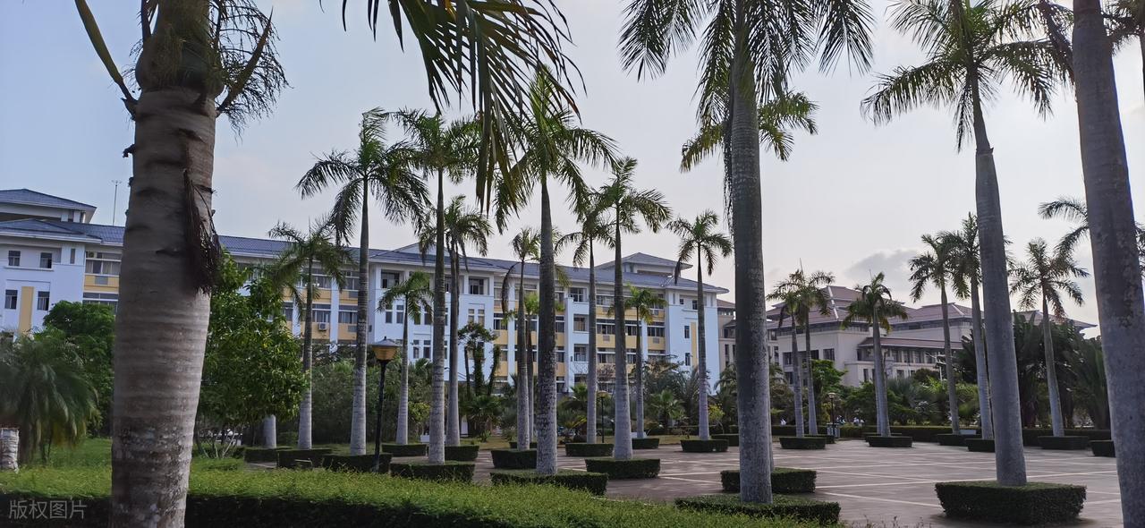 2026年江汉大学专科录取分数线（2026各省份录取分数线及位次排名）_黎明职业大学介绍与报考指南_黎明职业大学录取分数线