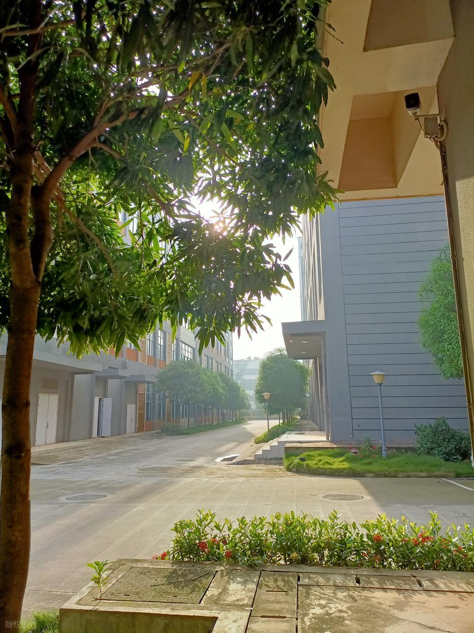 黎明职业大学介绍与报考指南_黎明职业大学录取分数线_2026年江汉大学专科录取分数线（2026各省份录取分数线及位次排名）