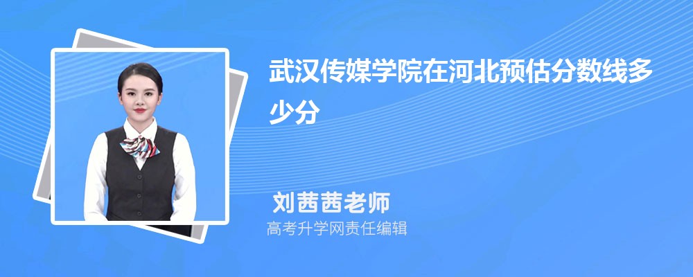 武汉传媒学院在河北预估录取分数线2025年多少分