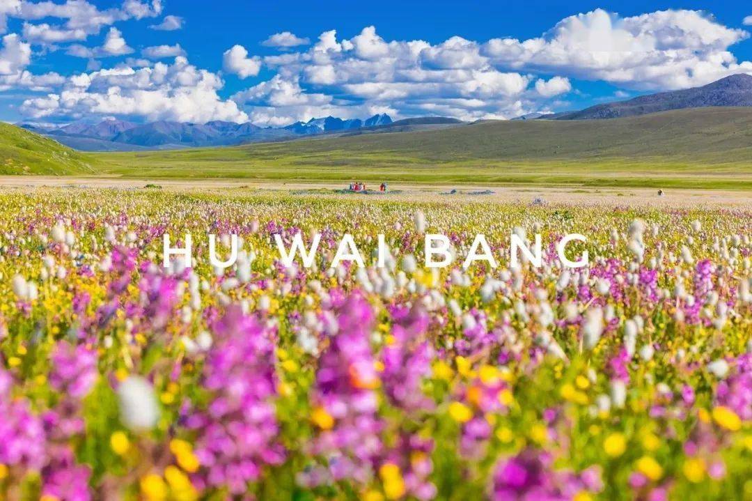 旅行高级有质感的句子_旅行在路上50句朋友圈文案_旅行朋友圈配文鸡汤