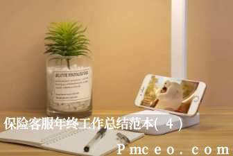 保险客服年终工作总结范本(4)